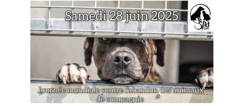 Samedi 28 juin, journée mondiale contre l'abandon des animaux domestiques