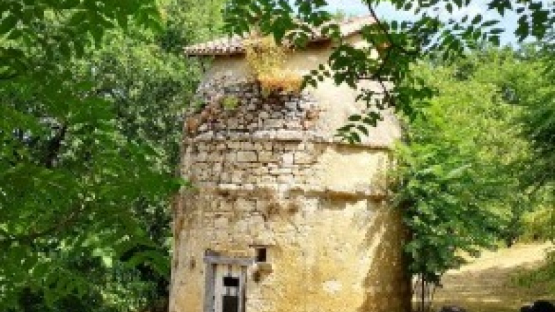 De nouvelles surprises dans le programme des découvertes estivales en Bastides de Lomagne !
