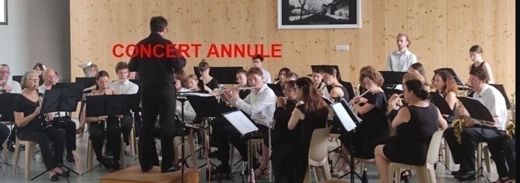 ENSEMBLE ORCHESTRAL AUCH UNE.JPG