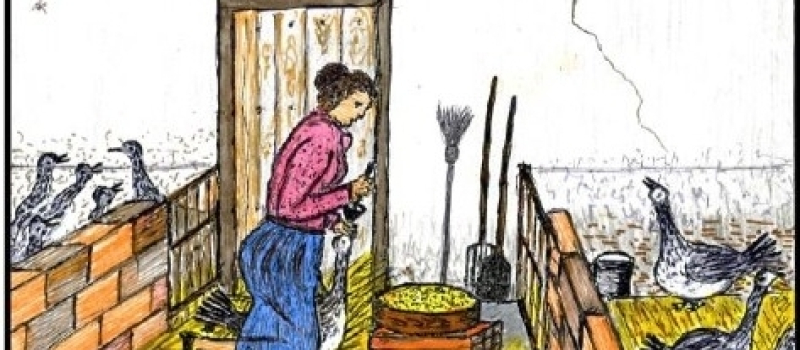 Un été animé au Musée Paysan d’Émile