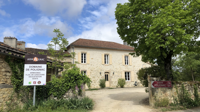 Vineart au Domaine de Polignac