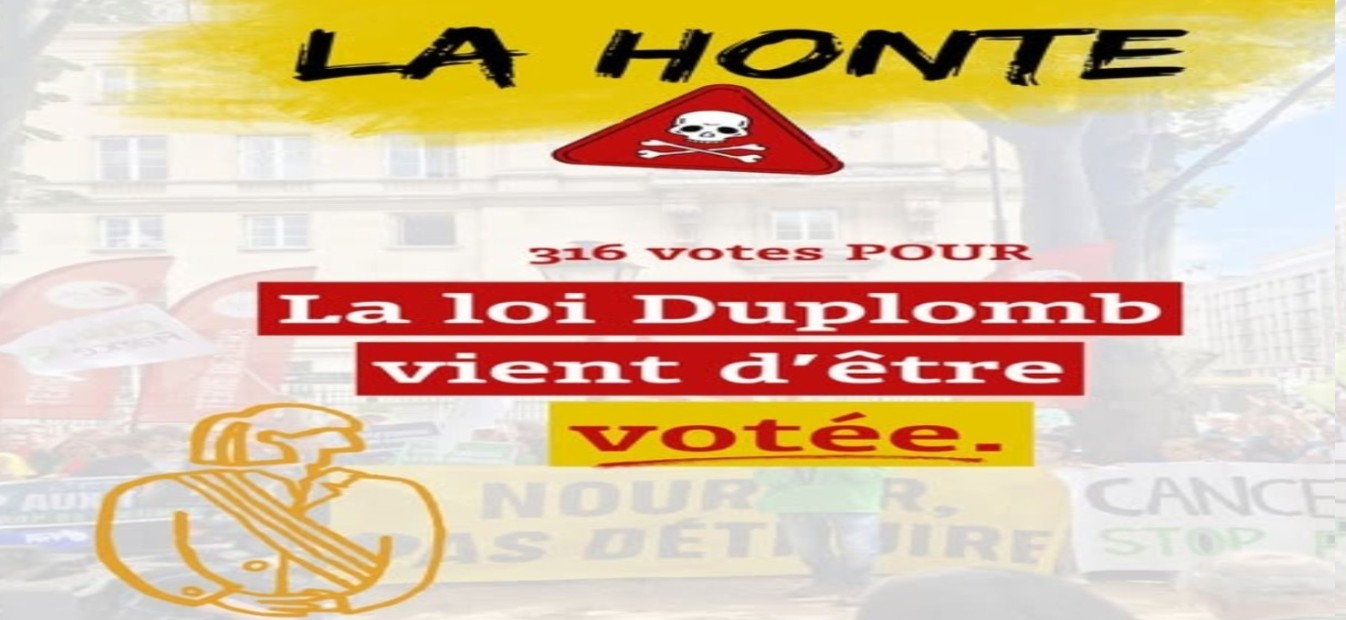 bon.jpg