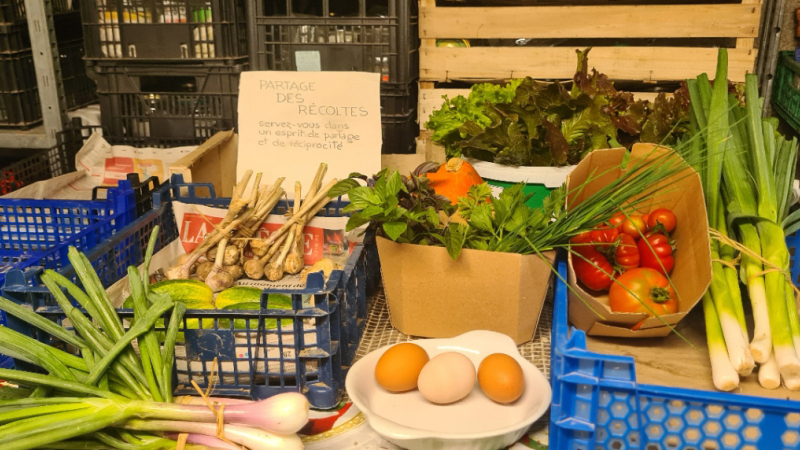 Mini marché à Plaisance du Gers