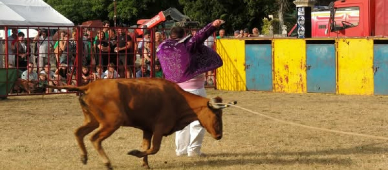 Spectacle, émotion et traditions gasconnes dans l’arène !
