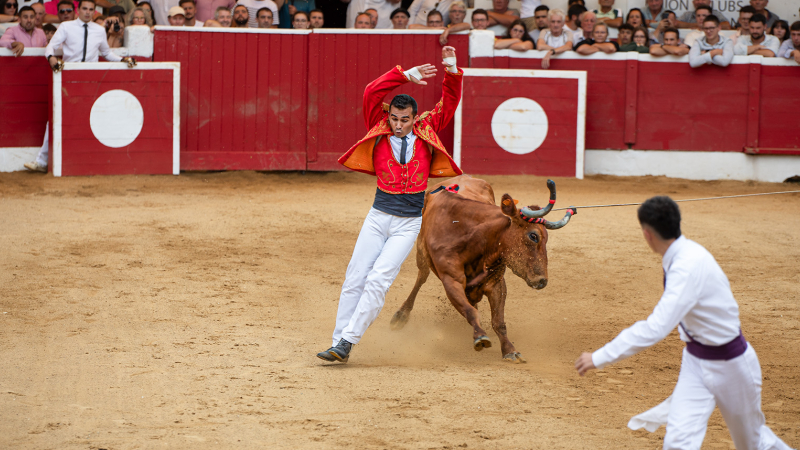 Nogaro: arènes pleines à craquer pour la Corne d'or 2025 (II)
