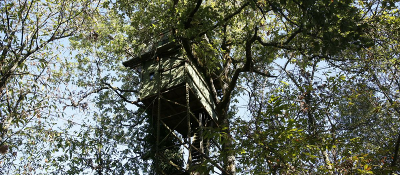 Parution prochaine de "Cabanes de chasse",un livre de passion et de nature