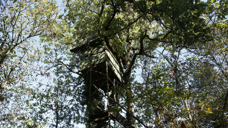 Parution prochaine de "Cabanes de chasse",un livre de passion et de nature
