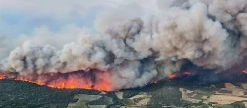 Aude solidarité pour les sinistrés de l'incendie des corbières !