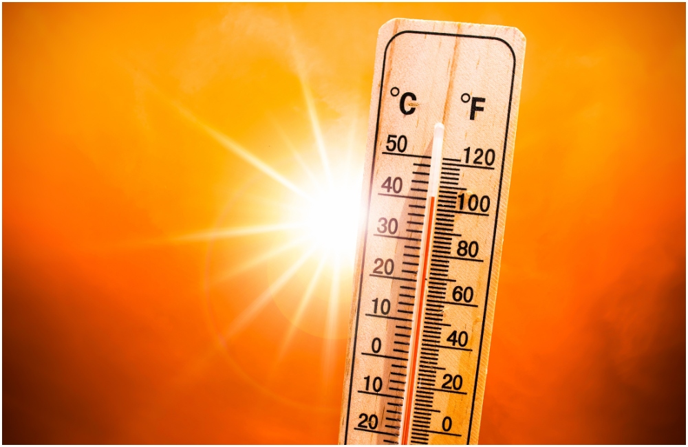 canicule.jpg