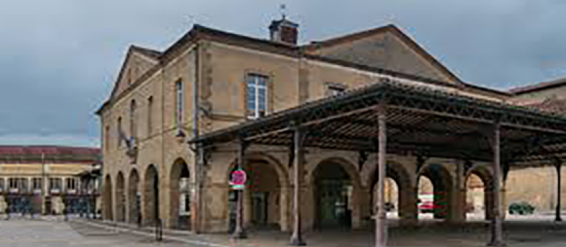 Visites guidées de la ville