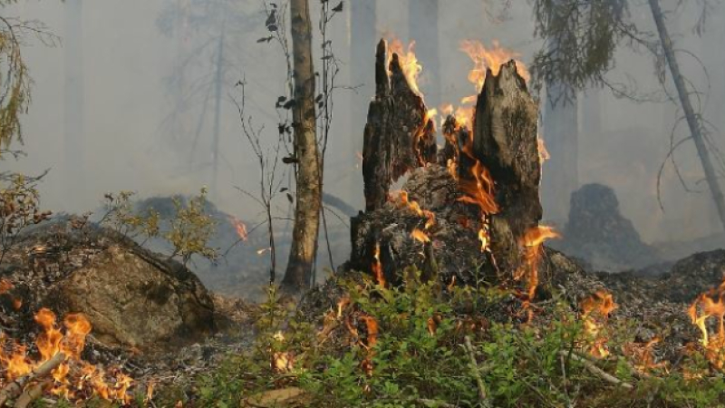 Vigilance rouge canicule : le Conseil Départemental dévoile les différentes mesures prises
