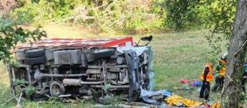 Une bétaillère se renverse, la conductrice est en urgence absolue et 22 brebis sont mortes