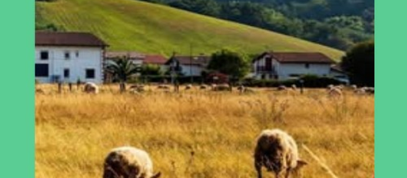 Vive le grand retour de la ruralité