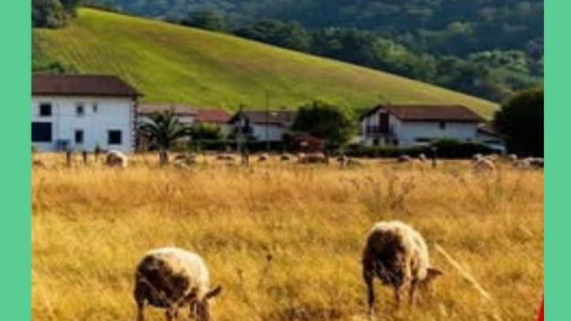 Vive le grand retour de la ruralité