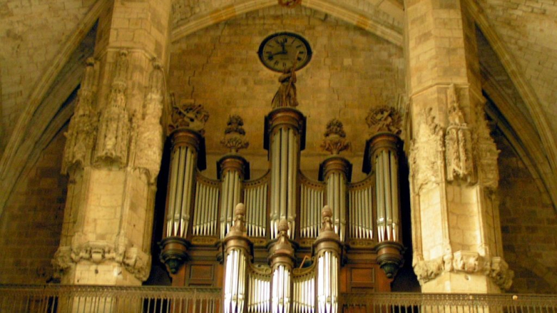 Concert «Ailes et Elles» : un magnifique voyage musical