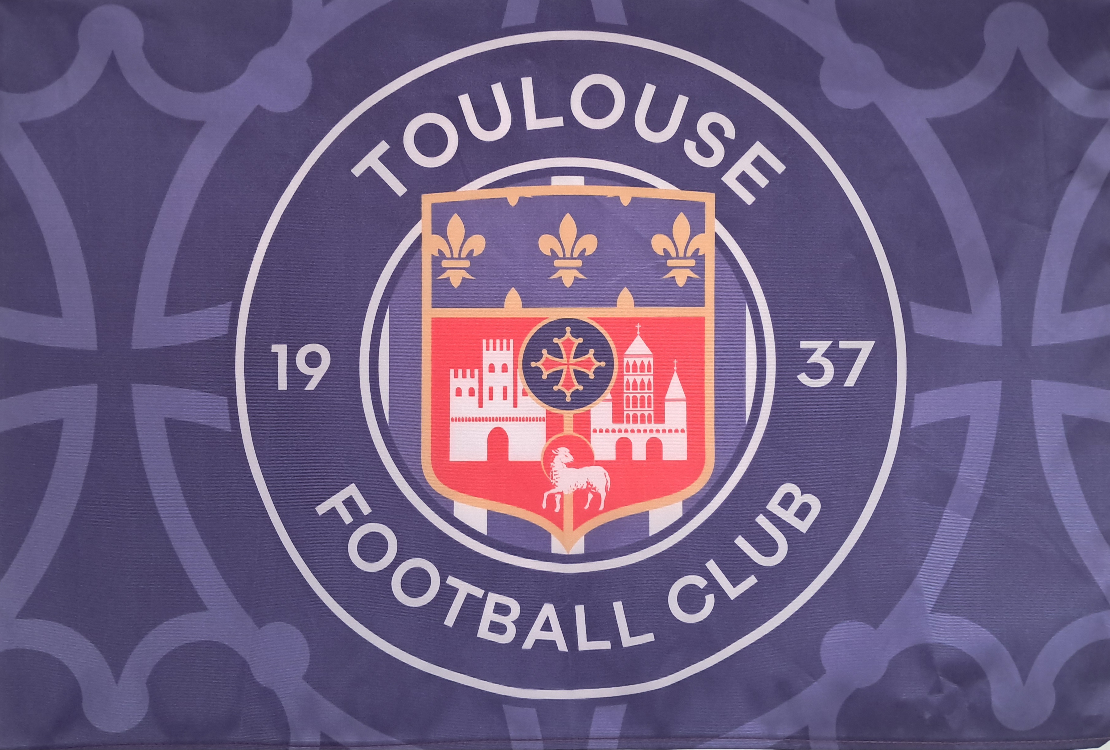 Logo TFC.jpg