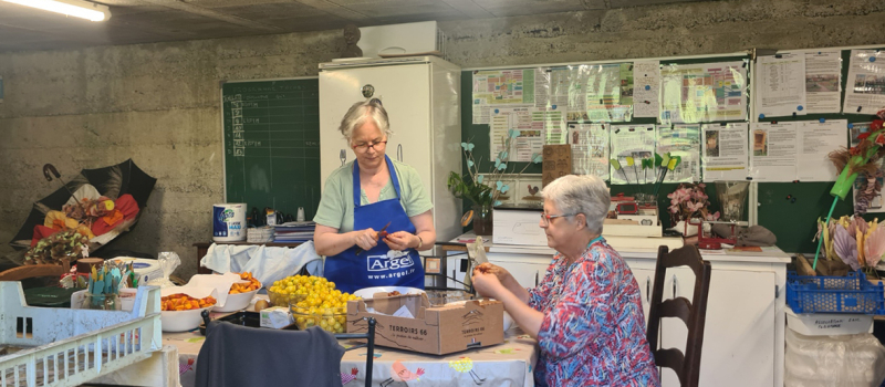 Pratiquer le jardinage sans douleur