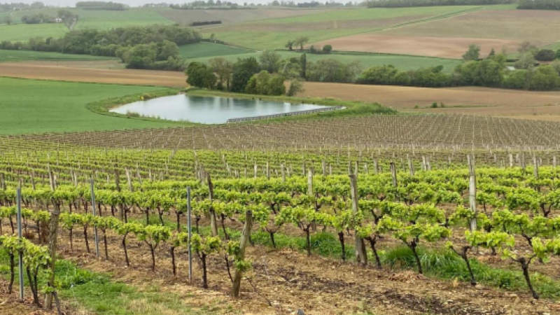 Révision de l’indice de fermage : Jeunes Agriculteurs du Gers disent non à la hausse