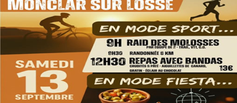Raid des Molosses