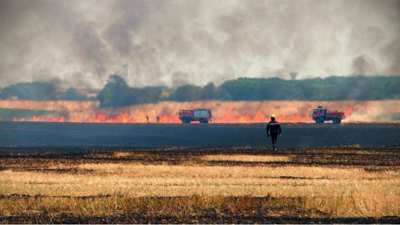 Un feu de broussailles occasionne l'évacuation d'une maison et une coupure de courant
