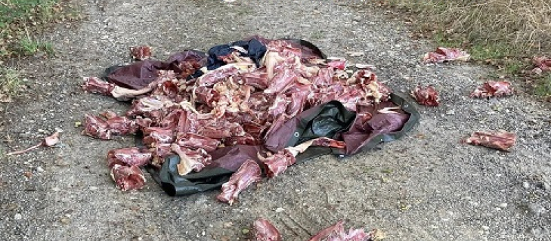 Plus de 100 carcasses de canards découvertes en bordure de route