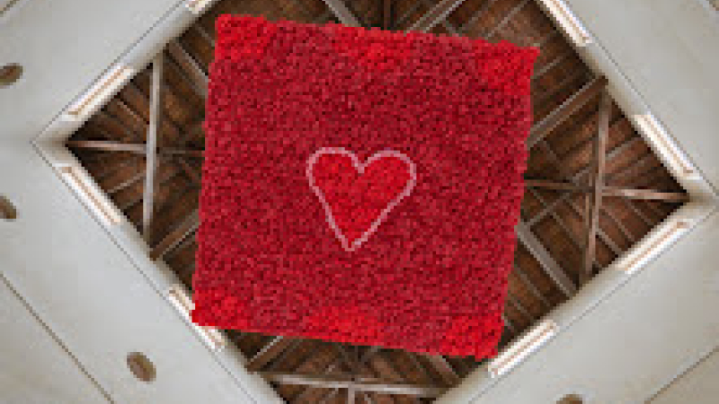 Septembre rouge : un mois pour sensibiliser  aux cancers du sang