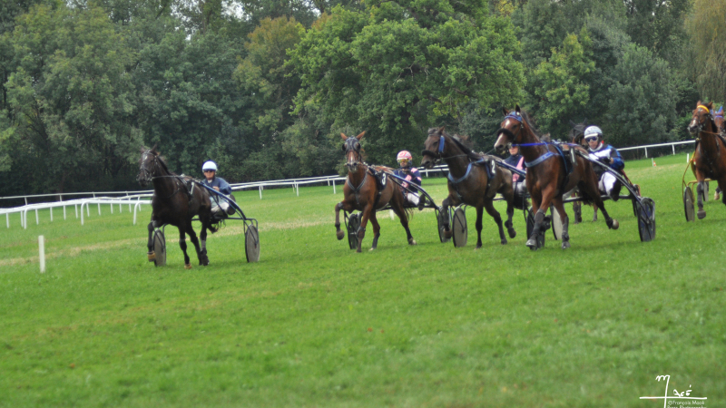 Rendez-vous à Gimat pour les courses annuelles de chevaux de trot