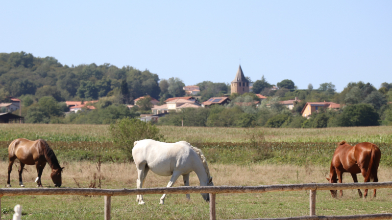 Le centre équestre du Mirandol