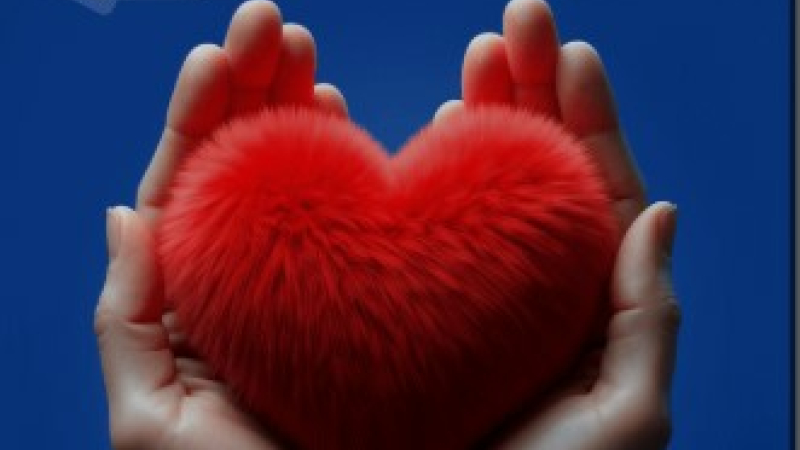 Première édition de la Semaine de l'Insuffisance Cardiaque en Occitanie
