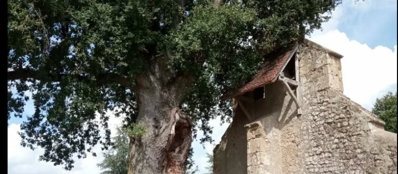 Reconnexion, relianceet méditation