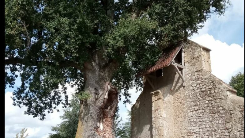Reconnexion, relianceet méditation