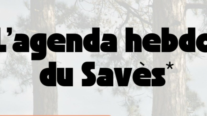 L’identité du Savès