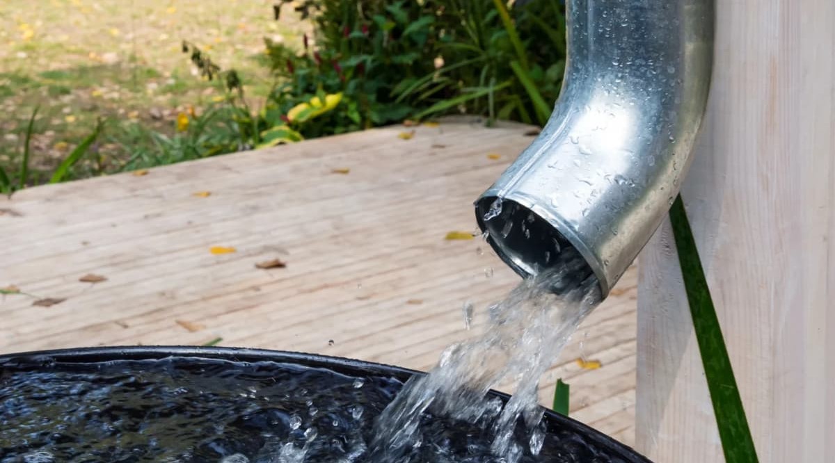 recuperer-eau-pluie-jardin-maison.jpg