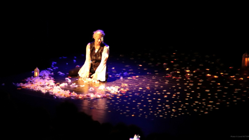 Le Secret de Svanhilde,