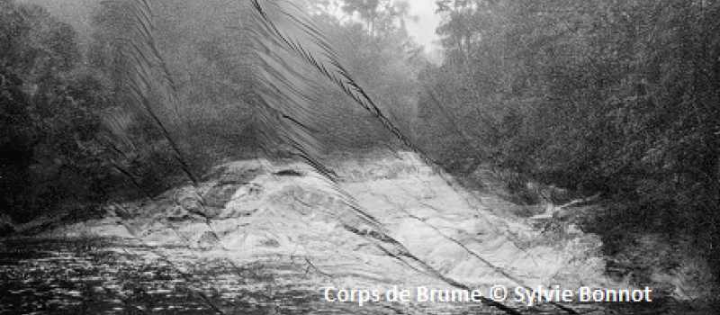 Résidence de Sylvie Bonnot : "  La nature des sols" au "centre d'art et de photographie"