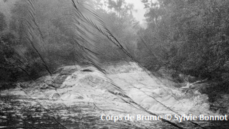 Résidence de Sylvie Bonnot : "  La nature des sols" au "centre d'art et de photographie"