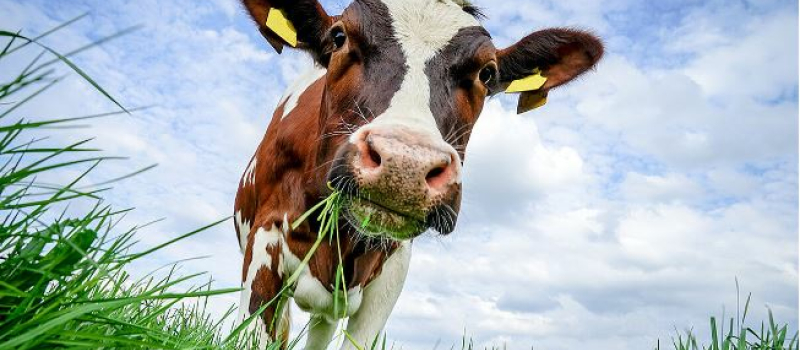 Salon de l’Agriculture: réaction du Président du Département du Gers au communiqué de la Coordination Rurale
