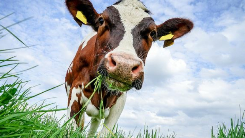 Salon de l’Agriculture: réaction du Président du Département du Gers au communiqué de la Coordination Rurale