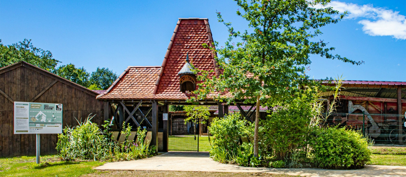Vacances de la Toussaint : le Musée s'anime !