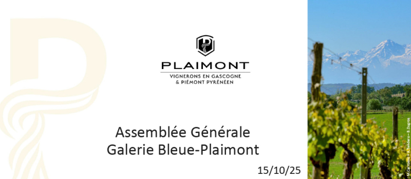 Assemblée générale Galerie Bleue-Plaimont