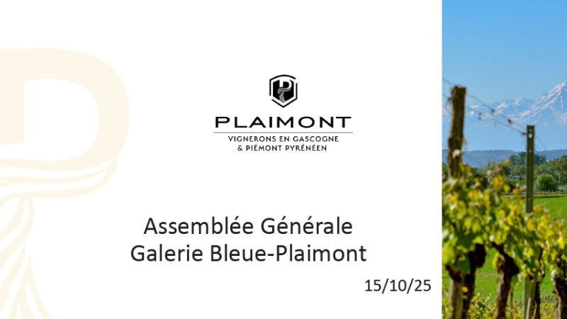 Assemblée générale Galerie Bleue-Plaimont