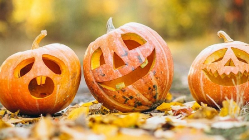 Halloween, même pas peur !