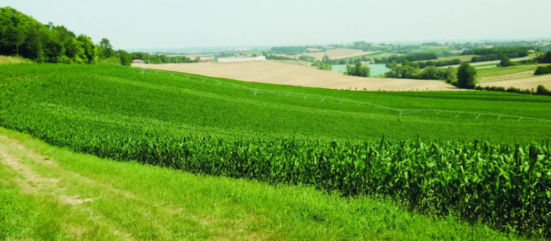 Zone vulnérable nitrates 2026: «les hors-sol de l’administration»