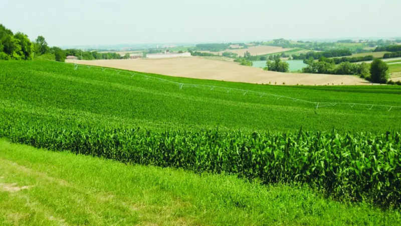 Zone vulnérable nitrates 2026: «les hors-sol de l’administration»