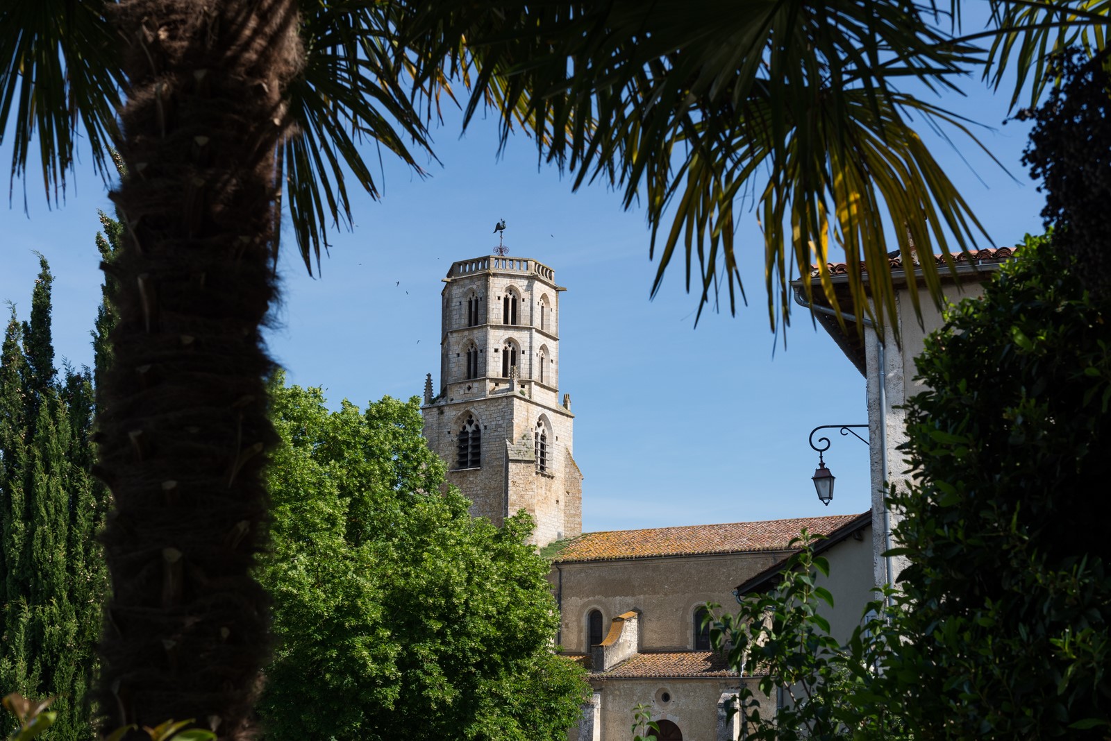 Eglise-et-palmier.jpg