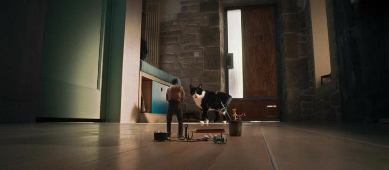 Cinequanon : animation, thriller, comédies et aventure au programme de la 2e semaine de vacances