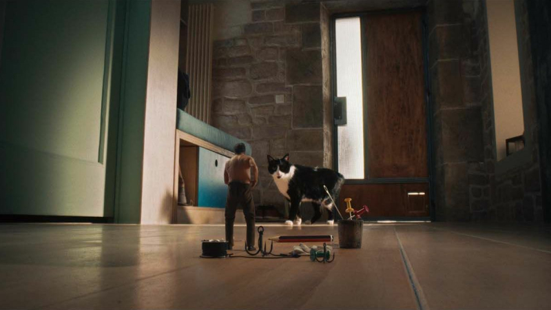Cinequanon : animation, thriller, comédies et aventure au programme de la 2e semaine de vacances
