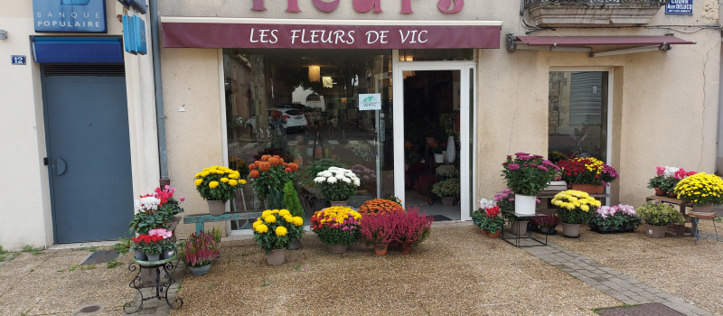 Les Fleurs de Vic : le chrysanthème, une tradition toujours bien vivante