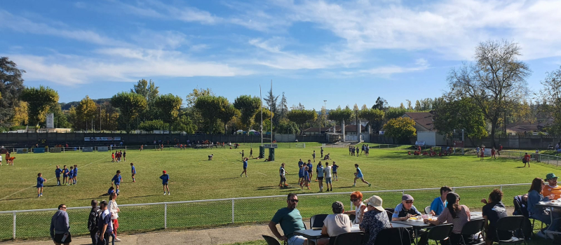 Tournoi des Vendanges : un grand cru pour les jeunes rugbymen gersois