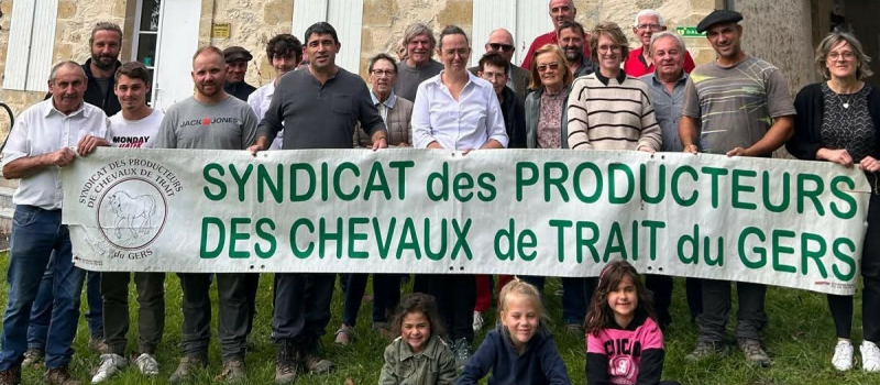 Renouveau du cheval de trait dans le Gers : de Préneron à Mirande, la passion et la qualité récompensées